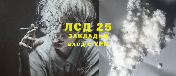ГАЛЛЮЦИНОГЕННЫЕ ГРИБЫ Корсаков