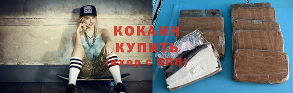 ГАЛЛЮЦИНОГЕННЫЕ ГРИБЫ Корсаков