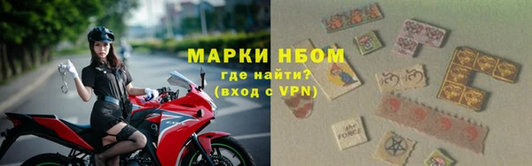 ГАЛЛЮЦИНОГЕННЫЕ ГРИБЫ Корсаков