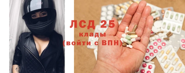 ГАЛЛЮЦИНОГЕННЫЕ ГРИБЫ Корсаков