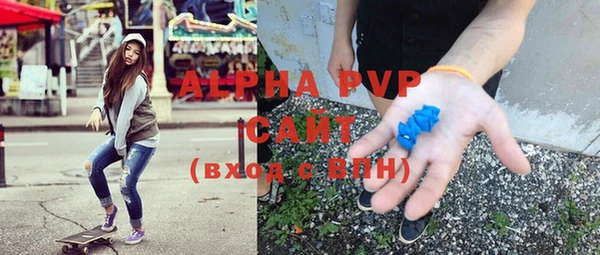 ГАЛЛЮЦИНОГЕННЫЕ ГРИБЫ Корсаков