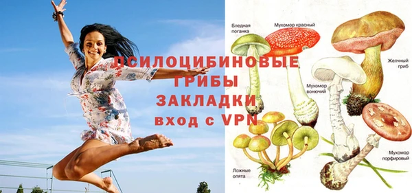 mdpv Коряжма