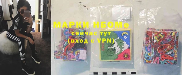 ГАЛЛЮЦИНОГЕННЫЕ ГРИБЫ Корсаков