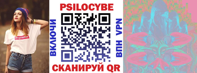 Псилоцибиновые грибы Psilocybe  Бердск 
