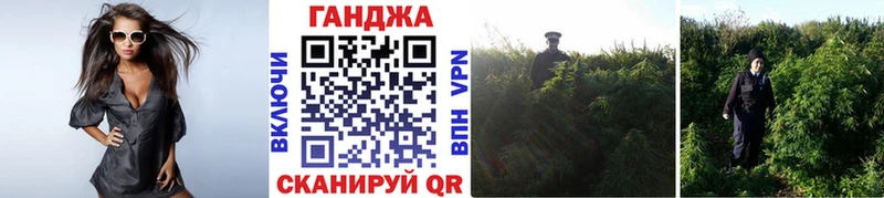 shop формула блэк спрут ССЫЛКА Бердск купить Канабис Amnesia